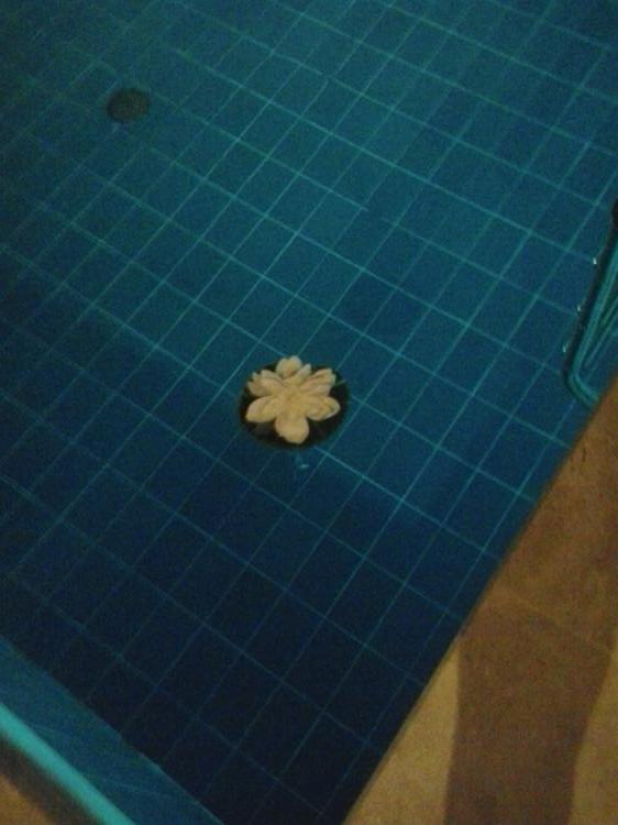 2012-09-30-22-00-46_750x562