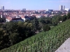 2012-08-12-10-04-52
